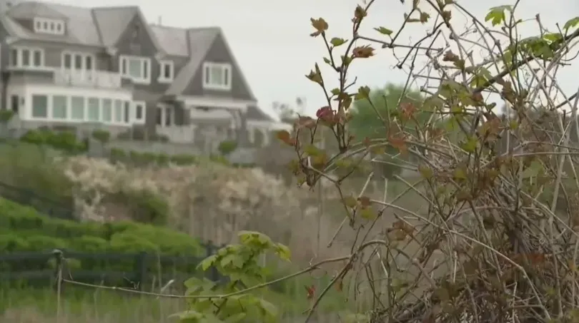 Rhode Island Police Chief Denies Serial Killer Link After Human Remains Discovered Near Taylor Swift's Mansion