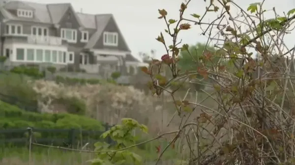 Rhode Island Police Chief Denies Serial Killer Link After Human Remains Discovered Near Taylor Swift's Mansion